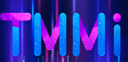 TMMi 测试成熟度模型评估