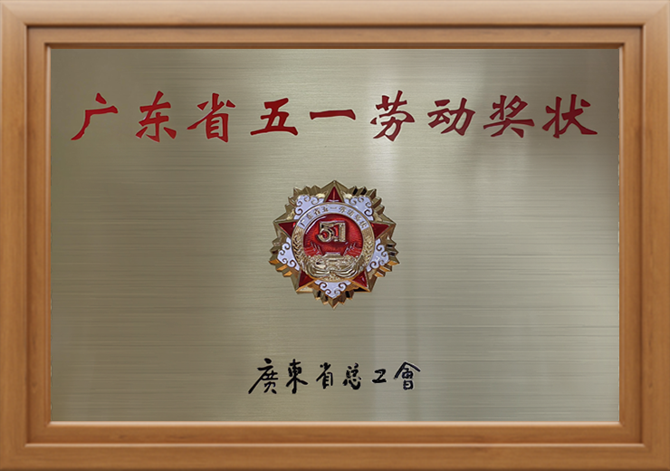 4.广东省五一劳动奖状.png
