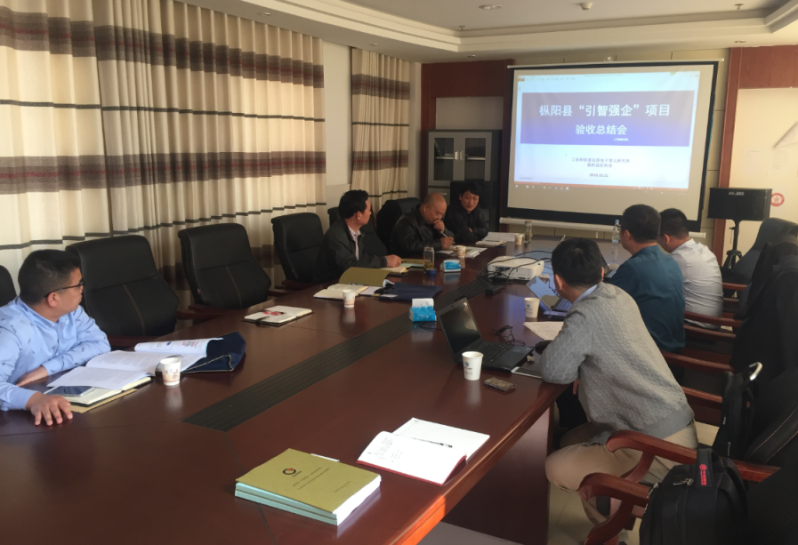 铜陵市枞阳县“引智强企”企业诊断项目验收总结大会圆满结束
