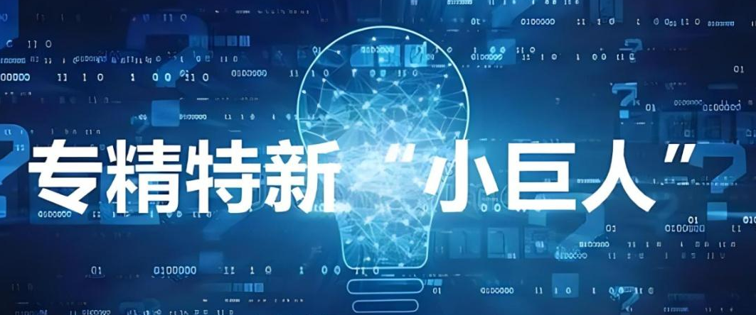 关于开展2025年度第七批专精特新“小巨人”预申报的通知